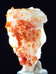 3.3cm VANADINITE CRYSTAL BARITE Mibladen Morocco Miniature Mineral Specimen W42