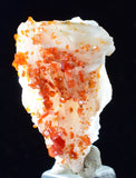 3.3cm VANADINITE CRYSTAL BARITE Mibladen Morocco Miniature Mineral Specimen W42