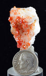 3.3cm VANADINITE CRYSTAL BARITE Mibladen Morocco Miniature Mineral Specimen W42