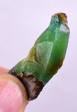 55Grams Lot GEM SILICA CHRYSOCOLLA Multicolor Chalcedony Emerald Jade Color Lily Mine S88