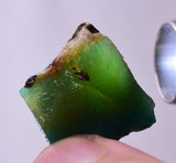 57Grams Lot GEM SILICA CHRYSOCOLLA Multicolor Chalcedony Emerald Jade Color Lily Mine S89