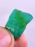 57Grams Lot GEM SILICA CHRYSOCOLLA Multicolor Chalcedony Emerald Jade Color Lily Mine S92