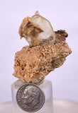 3.9cm BARITE CRYSTALS Peru Translucent Mineral Specimen F391