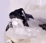 7.1cms HUBNERITE QUARTZ CRYSTALS Mineral Specimen Collector Peru M216