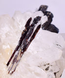 7.1cms HUBNERITE QUARTZ CRYSTALS Mineral Specimen Collector Peru M216