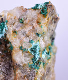 7cms GEM BROCHANTITE MICRO Crystals Linarite Inca De Oro Chile Miniature Mineral Specimen Z22