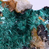 7cms GEM BROCHANTITE MICRO Crystals Linarite Inca De Oro Chile Miniature Mineral Specimen Z22