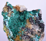7cms GEM BROCHANTITE MICRO Crystals Linarite Inca De Oro Chile Miniature Mineral Specimen Z22