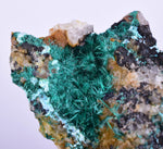 7cms GEM BROCHANTITE MICRO Crystals Linarite Inca De Oro Chile Miniature Mineral Specimen Z22