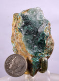 5.5ms DRUZY CHRYSOCOLLA QUARTZ Lily Mine Peru Calcite Malachite Stalactite Suiseki Mineral Specimen D237