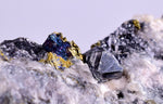 6.7cms TETRAHEDRITE PERU Chalcopyrite Crystals Old Stock Collector  Mineral Specimen I198