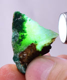55Grams Lot GEM SILICA CHRYSOCOLLA Multicolor Chalcedony Emerald Jade Color Lily Mine S88