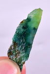 57Grams Lot GEM SILICA CHRYSOCOLLA Multicolor Chalcedony Emerald Jade Color Lily Mine S89
