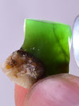 57Grams Lot GEM SILICA CHRYSOCOLLA Multicolor Chalcedony Emerald Jade Color Lily Mine S92