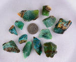 57Grams Lot GEM SILICA CHRYSOCOLLA Multicolor Chalcedony Emerald Jade Color Lily Mine S92