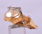 3.8cm BARITE CRYSTALS Peru Translucent Mineral Specimen F392