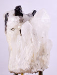 7.1cms HUBNERITE QUARTZ CRYSTALS Mineral Specimen Collector Peru M216