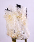 7.1cms HUBNERITE QUARTZ CRYSTALS Mineral Specimen Collector Peru M216