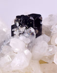 7.1cms HUBNERITE QUARTZ CRYSTALS Mineral Specimen Collector Peru M216