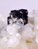 7.1cms HUBNERITE QUARTZ CRYSTALS Mineral Specimen Collector Peru M216