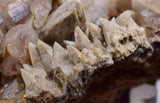 12cms CALCITE QUARTZ  CRYSTAL Mineral Specimen Collector Peru G244