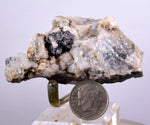6.4cms PROUSTITE RUBY SILVER Crystals Uchucchacua Mine Peru Mineral Specimen H288
