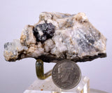 6.4cms PROUSTITE RUBY SILVER Crystals Uchucchacua Mine Peru Mineral Specimen H288