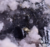 6.3cm PEARCEITE POLYBASITE Pyrite Uchuchaccua Mine Crystal Peru Mineral Specimen H289