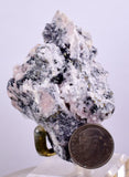 6.3cm PEARCEITE POLYBASITE Pyrite Uchuchaccua Mine Crystal Peru Mineral Specimen H289