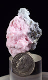 3.8cms RHODOCHROSITE ROSETTE QUARTZ  Pyrite Peru Pink Crystals Collector Mineral Specimen Huanzala Mine R547
