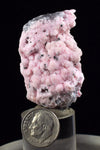 4.8cms RHODOCHROSITE ROSETTE QUARTZ  Pyrite Peru Pink Crystals Collector Mineral Specimen Huanzala Mine R549