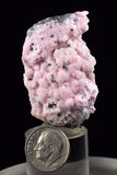 4.8cms RHODOCHROSITE ROSETTE QUARTZ  Pyrite Peru Pink Crystals Collector Mineral Specimen Huanzala Mine R549