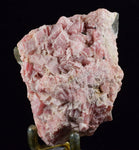 6.2cms RHODOCHROSITE CRYSTALS Manuelita Mine Peru Collector Mineral Specimen R552