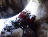 6.4cms PROUSTITE RUBY SILVER Crystals Uchucchacua Mine Peru Mineral Specimen H288