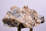 6.4cms PROUSTITE RUBY SILVER Crystals Uchucchacua Mine Peru Mineral Specimen H288