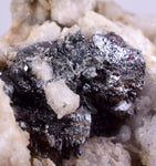 6.4cms PROUSTITE RUBY SILVER Crystals Uchucchacua Mine Peru Mineral Specimen H288