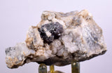 6.4cms PROUSTITE RUBY SILVER Crystals Uchucchacua Mine Peru Mineral Specimen H288