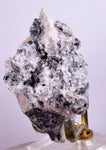 6.3cm PEARCEITE POLYBASITE Pyrite Uchuchaccua Mine Crystal Peru Mineral Specimen H289