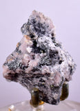 6.3cm PEARCEITE POLYBASITE Pyrite Uchuchaccua Mine Crystal Peru Mineral Specimen H289