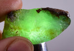 19gr GEM SILICA CHRYSOCOLLA Emeraldine Lily Mine Peru Scenic Quartz Malachite Chalcedony Emerald Jade Color S95