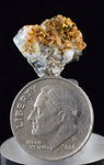 1.3cms NATIVE GOLD QUARTZ of the Incas Thumbnail Aesthetic Wire Gem Crystal Quartz Peru Rare Mineral Specimen L206