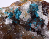 5.1cms GEM SILICA CHRYSOCOLLA Druzy Quartz Stalactites Lily Mine Peru Calcite Geodes Mineral Specimen D247