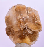 3.6cms SELENITE DOLLAR CRYSTAL Peru Coin Golden Gypsum Suiseki Translucent Premium Mineral Specimen T398