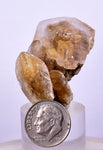 3.7cms SELENITE DOLLAR CRYSTAL Peru Coin Golden Gypsum Suiseki Translucent Premium Mineral Specimen T399