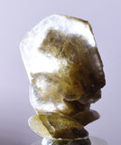 3.7cms SELENITE DOLLAR CRYSTAL Peru Coin Golden Gypsum Suiseki Translucent Premium Mineral Specimen T399
