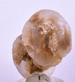 3.5cms SELENITE DOLLAR CRYSTAL Peru Coin Golden Gypsum Suiseki Translucent Premium Mineral Specimen T400