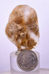 4.1cms SELENITE DOLLAR CRYSTAL Peru Coin Golden Gypsum Suiseki Translucent Premium Mineral Specimen T401
