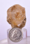 3.2cms SELENITE DOLLAR CRYSTAL Peru Coin Golden Gypsum Suiseki Translucent Premium Mineral Specimen T402