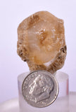3.2cms SELENITE DOLLAR CRYSTAL Peru Coin Golden Gypsum Suiseki Translucent Premium Mineral Specimen T402