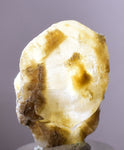 3.2cms SELENITE DOLLAR CRYSTAL Peru Coin Golden Gypsum Suiseki Translucent Premium Mineral Specimen T402